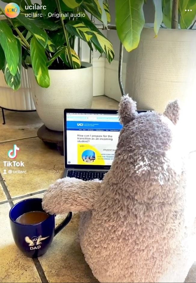 Anteater drinking coffee and looking up LARC resources online